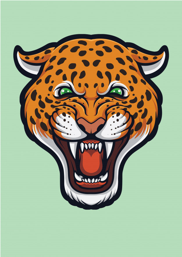 Angry Leopard Face, Panthera Pardus Vector Premium Download 626x885 Angry Leopard Face, Panthera Pardus Vector Premium Download