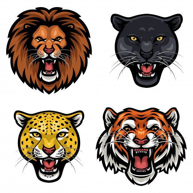 Collection Of Wild Animals Angry Face Vector Vector Premium Download 626x626 Collection Of Wild Animals Angry Face Vector Vector Premium Download