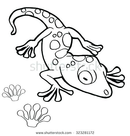 450x470 Leopard Gecko Coloring Pages Zupa
