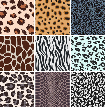 361x368 Leopard Free Vector Download