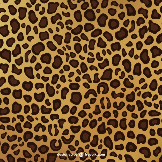 626x626 Leopard Print Pattern Vector Free Download