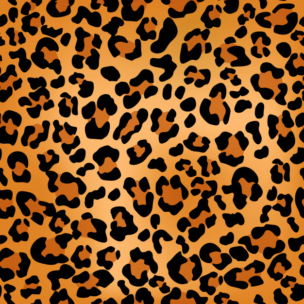 626x626 Leopard Print Pattern Vector Premium Download