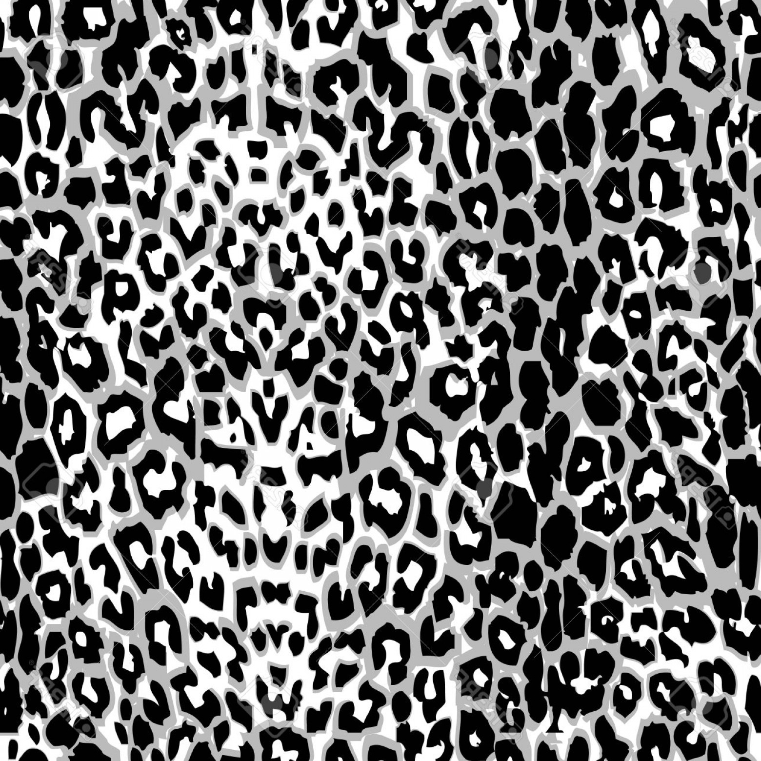 1560x1560 Photostock Vector Leopard Print Pattern Vector Soidergi