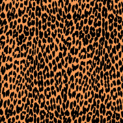 180x180 Free Leopard Print Clipart And Vector Graphics