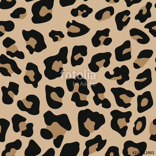 500x500 Leopard Seamless Pattern Animal Print Vector Background Stock