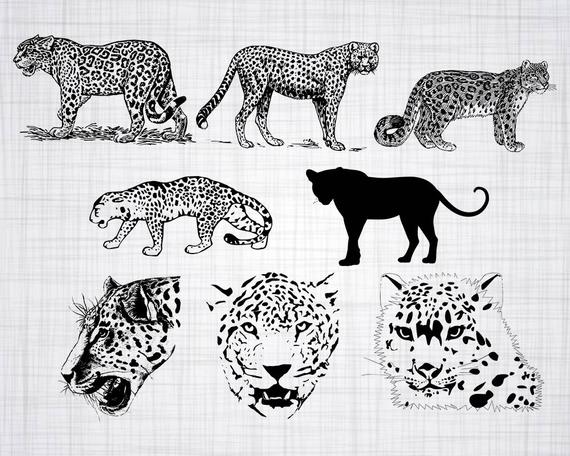 Leopard Silhouette Vector at Vectorified.com | Collection of Leopard ...