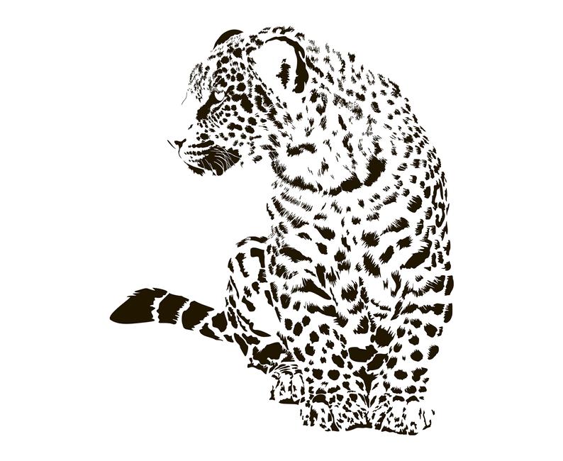 Leopard Leopard Clipart Leopard Etsy 794x650 Leopard Leopard Clipart Leopard Etsy