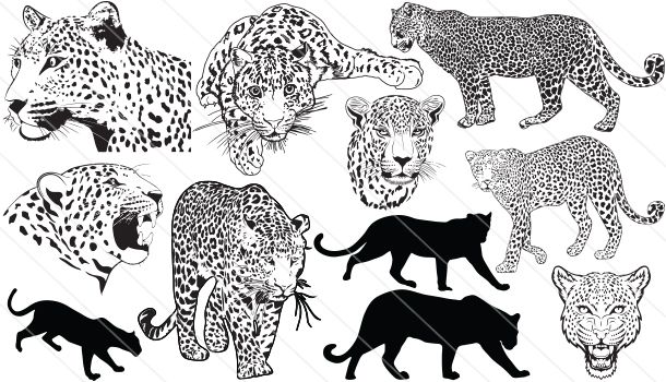 Leopard Silhouette Vector Vector Graphics Silhouette Vector 610x350 Leopard Silhouette Vector Vector Graphics Silhouette Vector