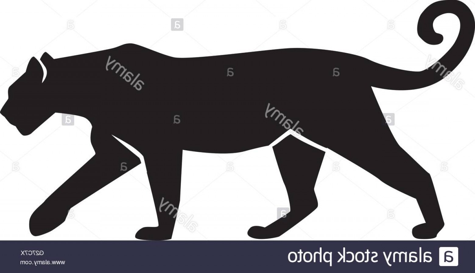 Panther Silhouette Vector Art Catchsplace 1560x895 Panther Silhouette Vector Art Catchsplace
