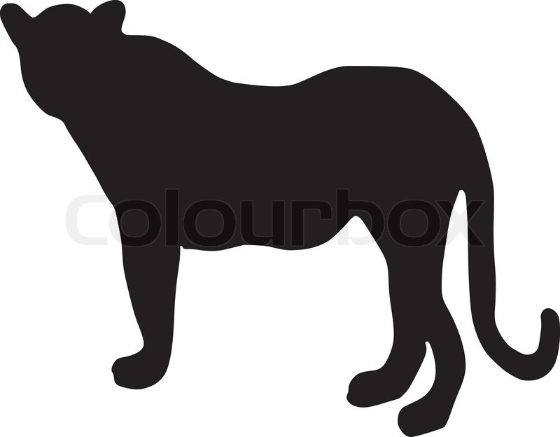Silhouette Of Leopard Stock Vector Colourbox 800x624 Silhouette Of Leopard Stock Vector Colourbox