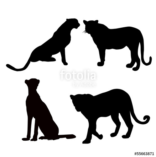 Leopard Silhouette Stock Image And Royalty Free Vector 498x500 Leopard Silhouette Stock Image And Royalty Free Vector