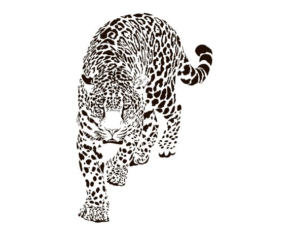 Leopard, Silhouette,graphics,illustration,vector,logo,digital 570x466 Leopard, Silhouette,graphics,illustration,vector,logo,digital