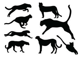 Leopard Free Vector Art 286x200 Leopard Free Vector Art