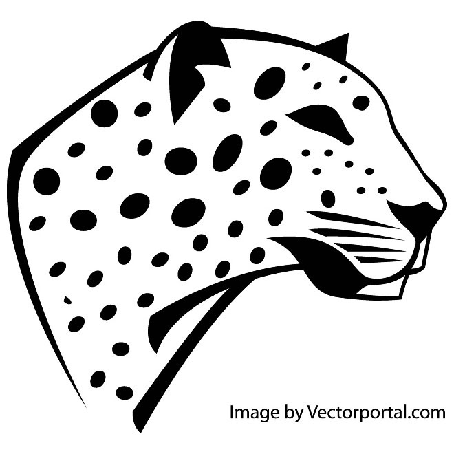 Leopard Head Image Free Vector 660x660 Leopard Head Image Free Vector