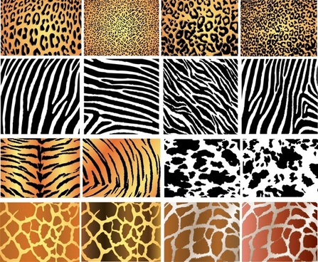 447x368 Leopard Free Vector Download