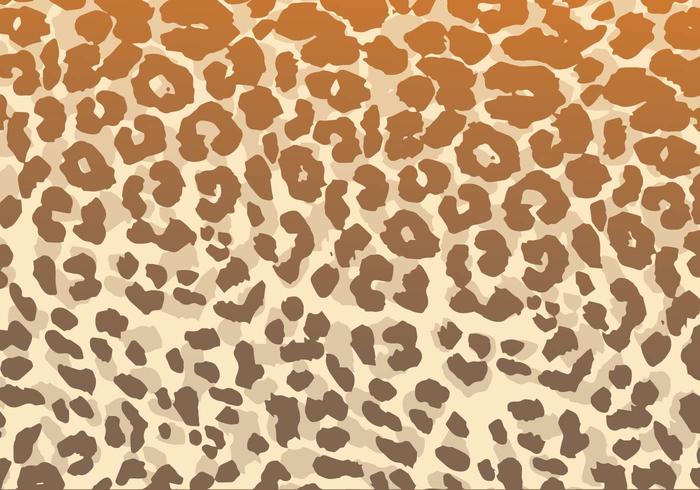700x490 Leopard Print Free Vector Art
