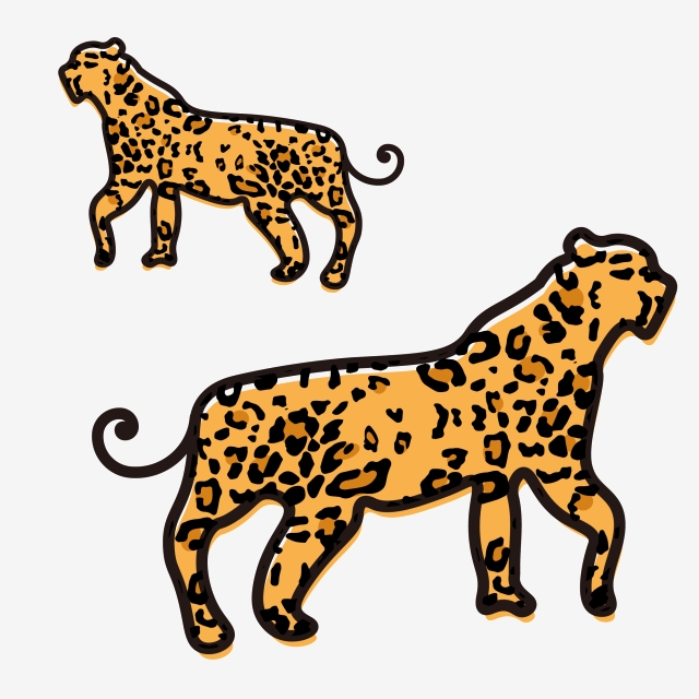 640x640 Leopard Print Vector Design Material Download, Leopard, Vector