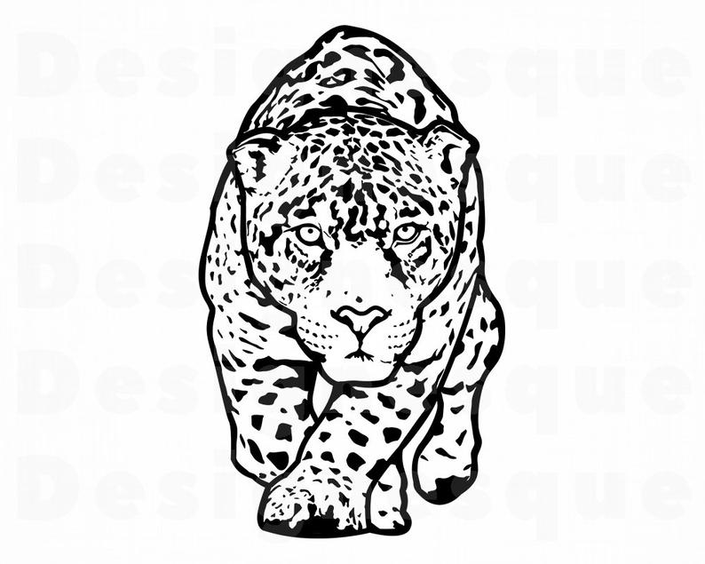 391 Leopard vector images at Vectorified.com