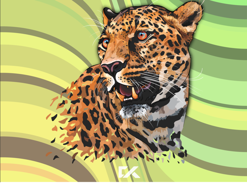 800x600 Leopard Vector Art