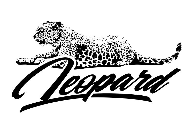 747x490 Leopard Vector Design