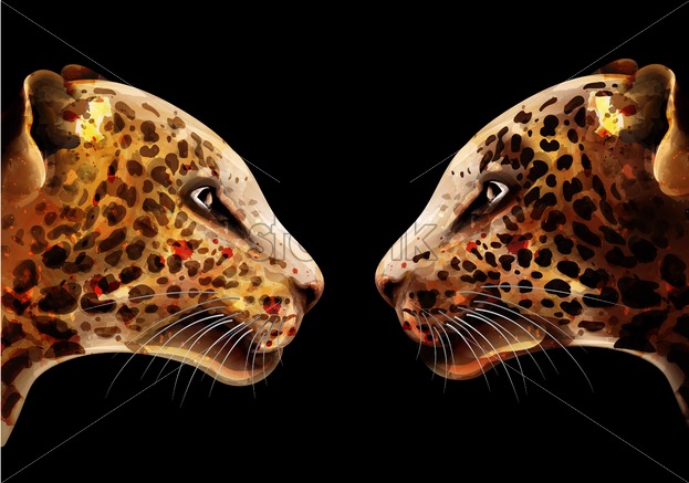 623x437 Leopard Vector Watercolor Colorful Detailed Illustration Wildlife