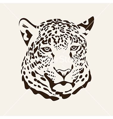 380x400 Leopard Vector