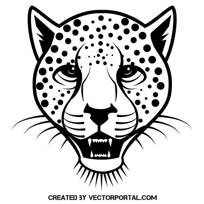 660x660 Leopard Vector Clip Art Free Vectors From Other Sources Free