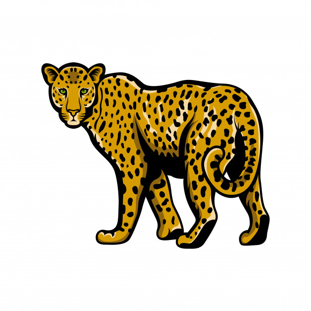 Leopard Vector at Vectorified.com | Collection of Leopard Vector free ...