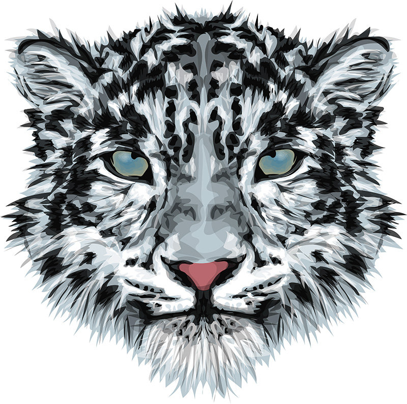 800x795 Snow Leopard Vector Stylized Vector Print Big Cat Vector Etsy