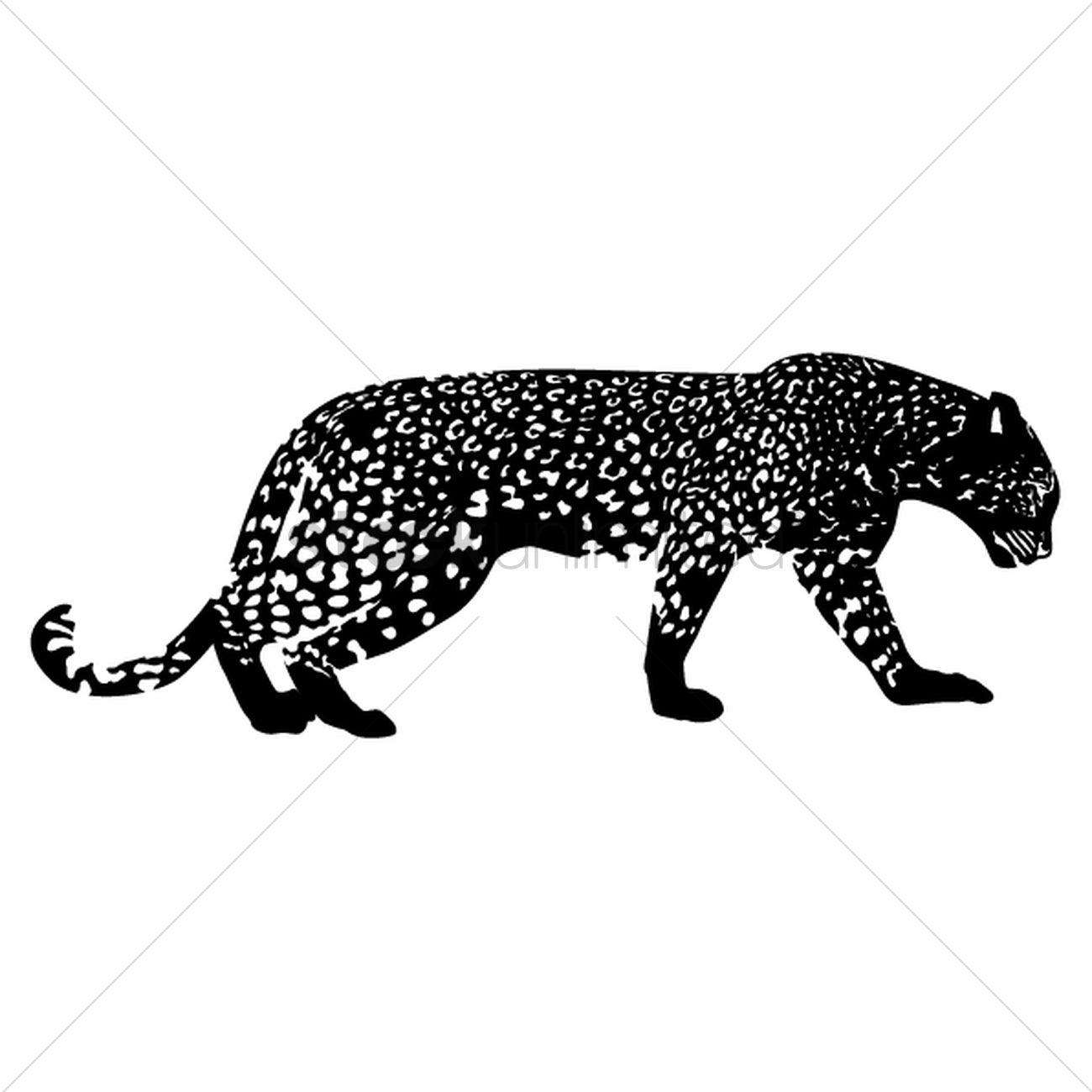 1300x1300 Free Leopard Vector Image