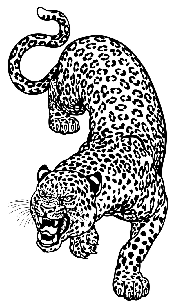 600x1049 Hand Drawn Leopard Vector Illustration Free Download