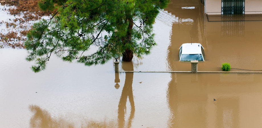 920x450 Leptospirosis Cdc