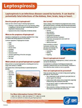 285x374 Leptospirosis Fact Sheet Resources Leptospirosis Cdc