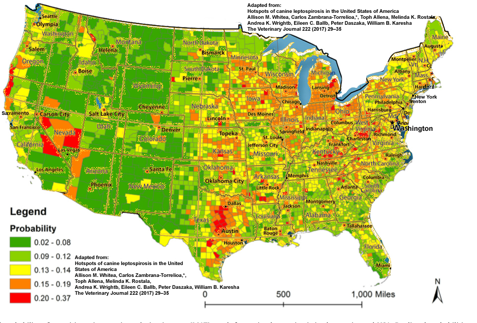 Leptospirosis Vector at Vectorified.com | Collection of Leptospirosis ...