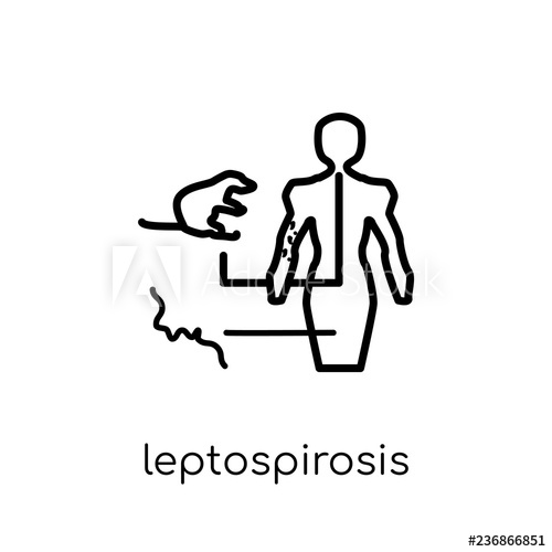500x500 Leptospirosis Icon Trendy Modern Flat Linear Vector Leptospirosis