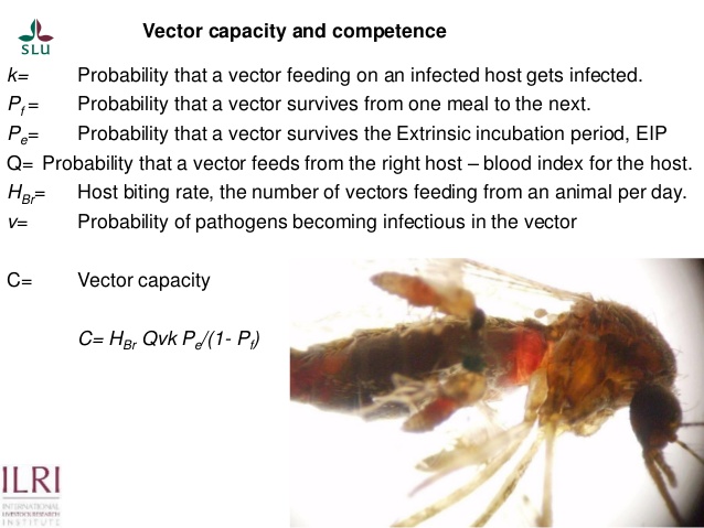 638x479 Pest Forecasting Japanese Encephalitis, Leptospirosis, Aflatoxicosis