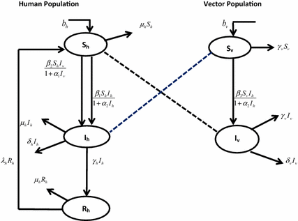 427x317 Dynamic Behavior Of Leptospirosis Disease With Saturated Incidence