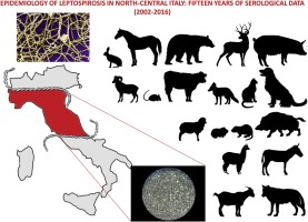 277x200 Epidemiology Of Leptospirosis In North Central Italy Fifteen