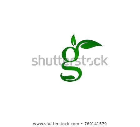 450x409 Green Leaf G Letter Icon Letter G Vector Scadopt Letter Icon