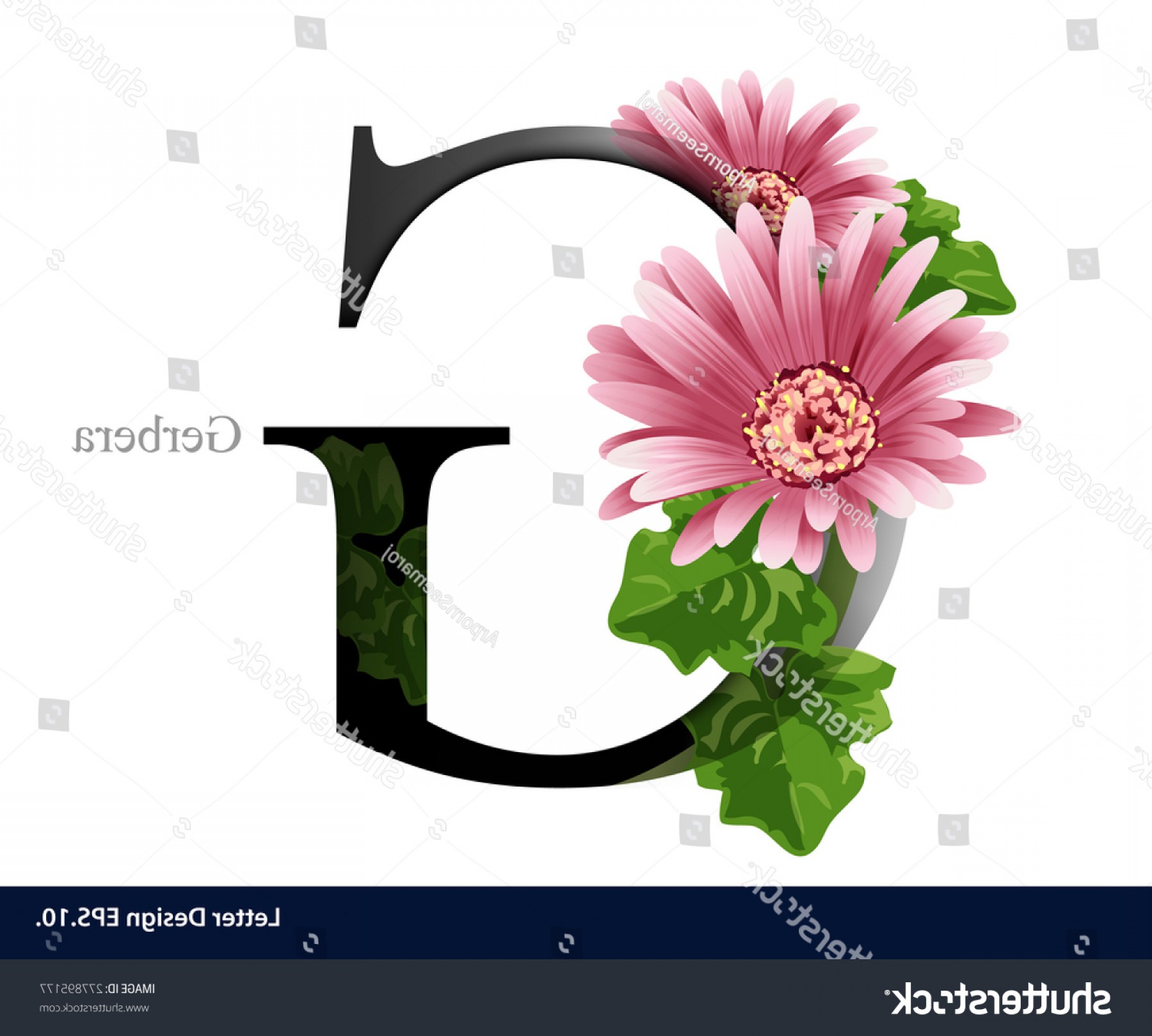 1800x1620 Letter G Vector Alphabet Gerbera Flower Catchsplace