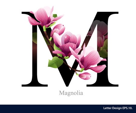 Letter M Vector Alphabet With Magnolia Flower Abc Concept Type 450x375 Letter M Vector Alphabet With Magnolia Flower Abc Concept Type