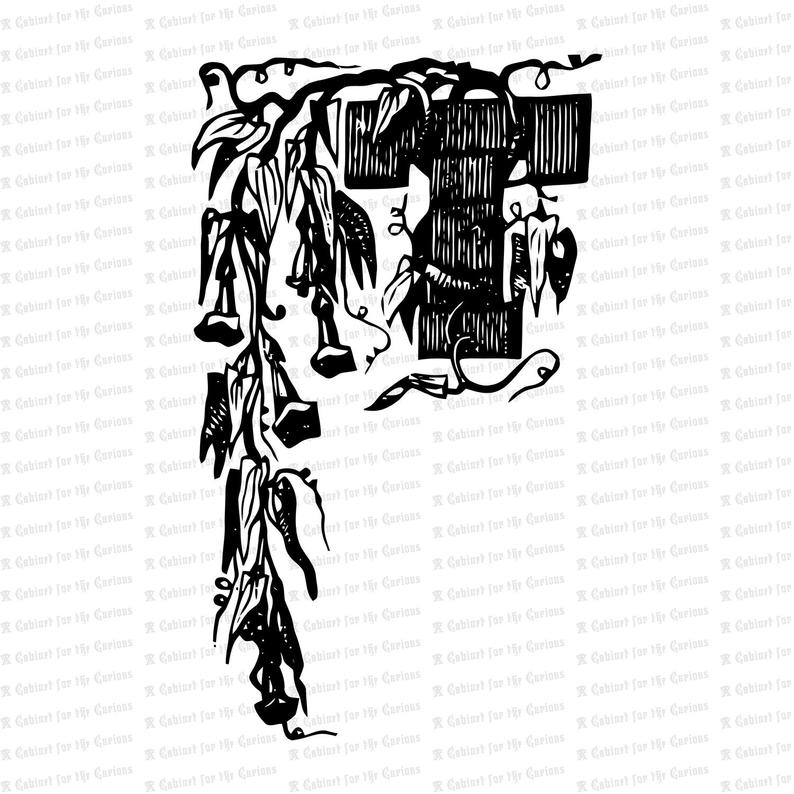 Ornamental Penwork Initial Letter T Vector Clipart Vintage Etsy 794x794 Ornamental Penwork Initial Letter T Vector Clipart Vintage Etsy