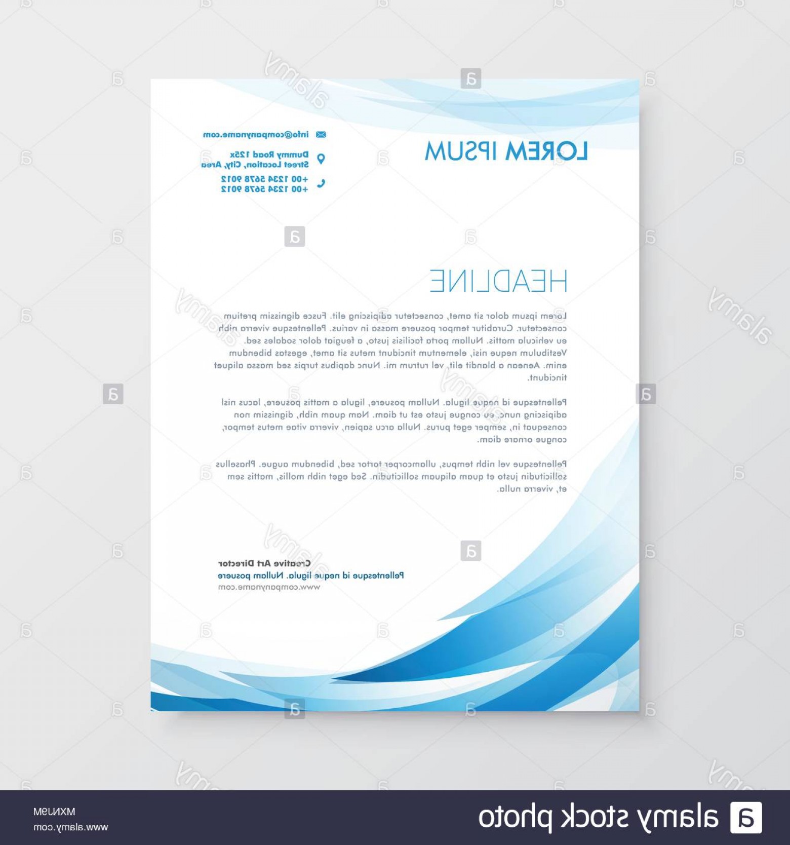Letterhead Vector