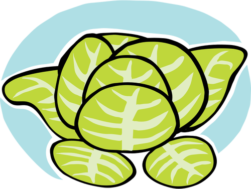 500x377 Iceberg Lettuce Vector Clip Art
