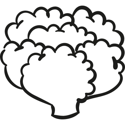 400x400 Lettuce Free Vectors, Logos, Icons And Photos Downloads