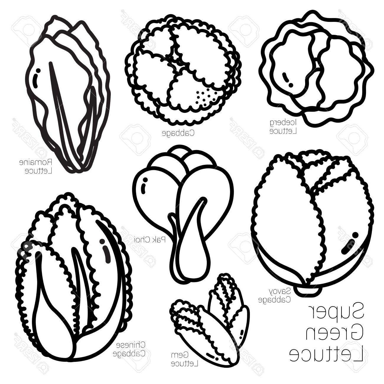 1300x1300 Best Free Black And White Lettuce Vector Free Vector Images