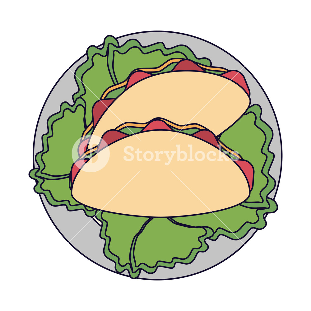 1000x1000 Burritos On Dish With Lettuce Vector Illustration Graphic Design