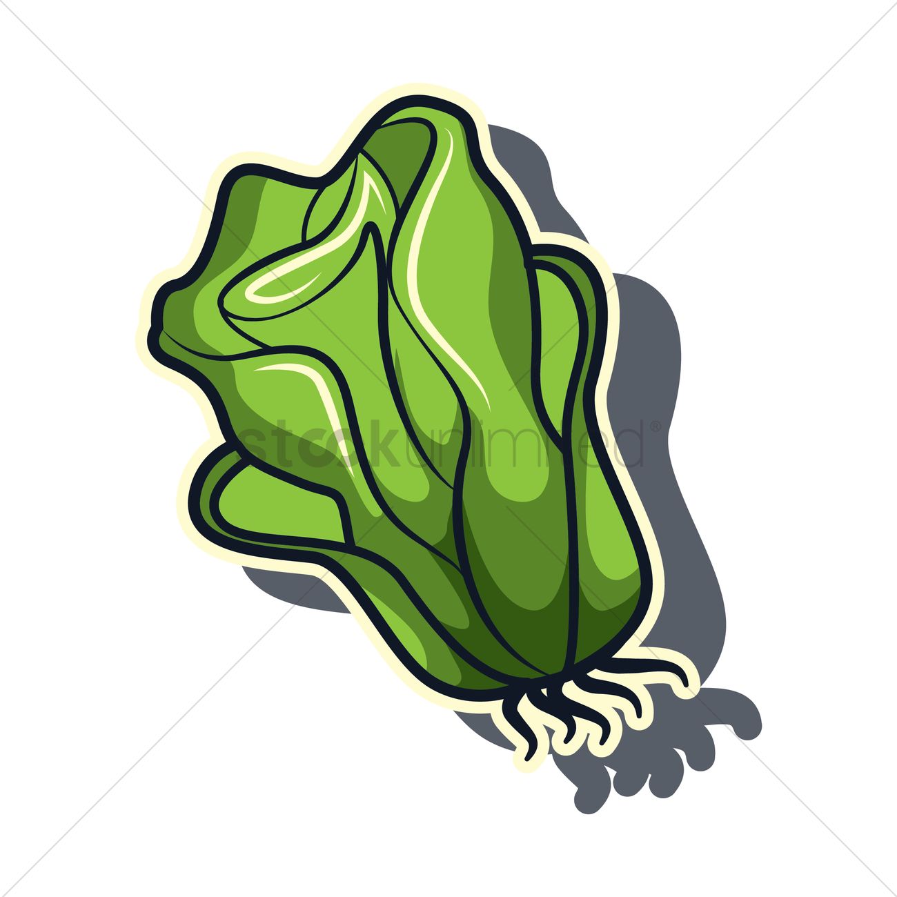 1300x1300 Free Lettuce Vector Image
