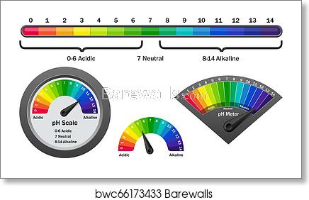 Ph Meter Checking Acidity Level, Vector Illustration, Art Print 436x282 Ph Meter Checking Acidity Level, Vector Illustration, Art Print