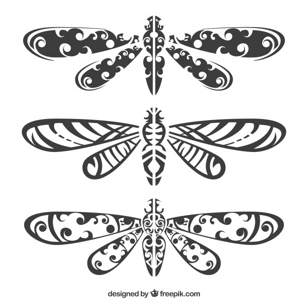 626x626 Libelula Vectors, Photos And Free Download